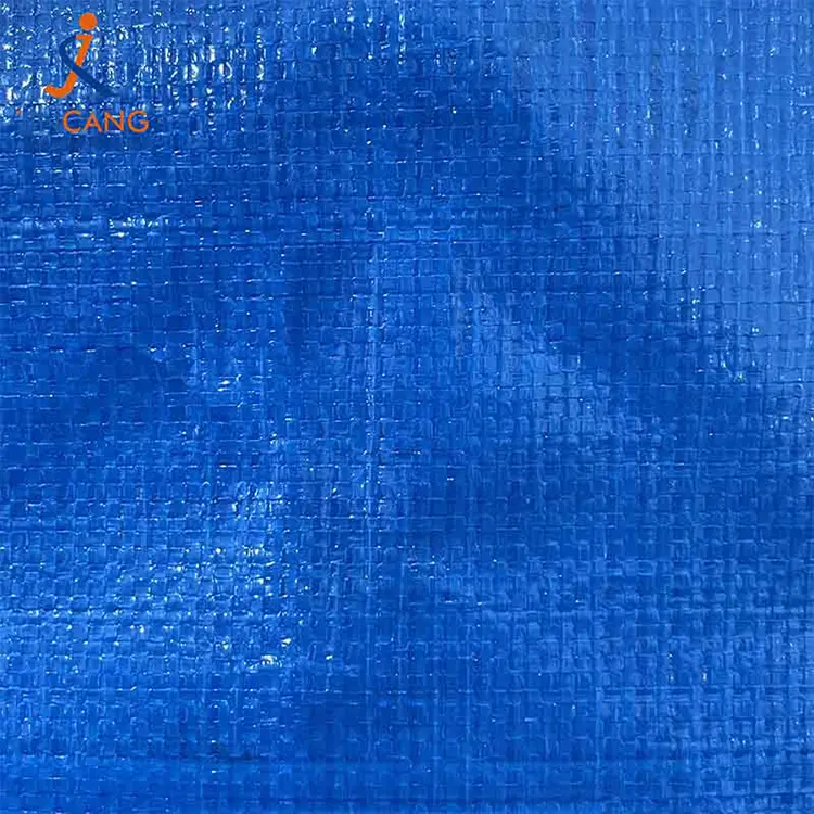 சூப்பர் மார்க்கெட் மடிக்கக்கூடிய பிபி நெய்த நகரும் பை