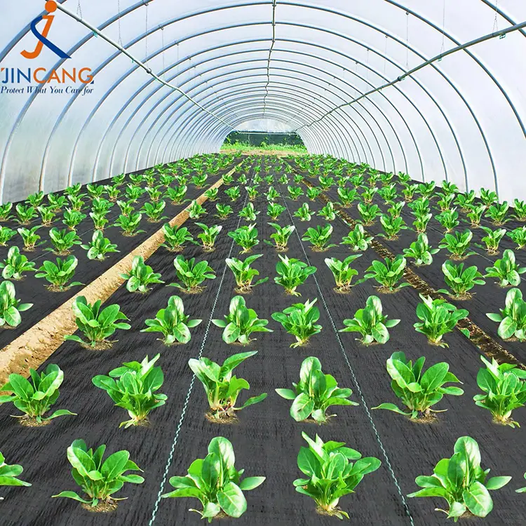 பிபி நெய்த களை பாய்