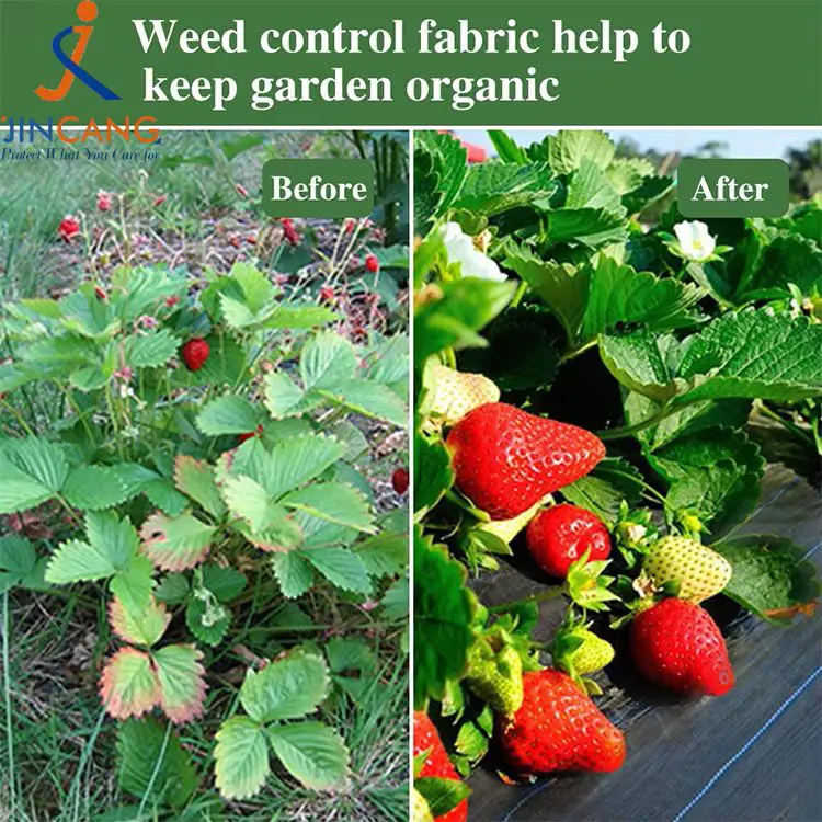 களை கட்டுப்பாட்டு துணி பாய்