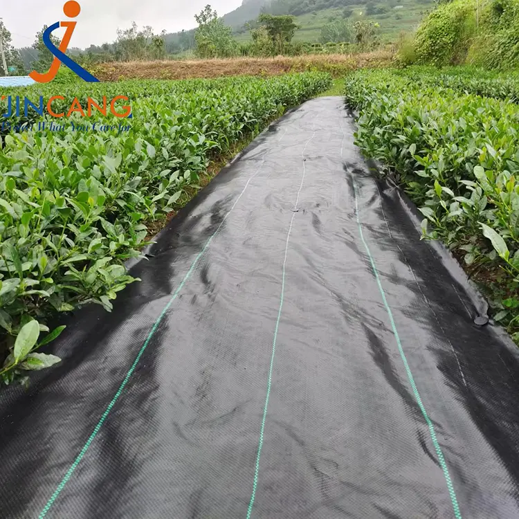 களை கட்டுப்பாட்டு துணி பாய்