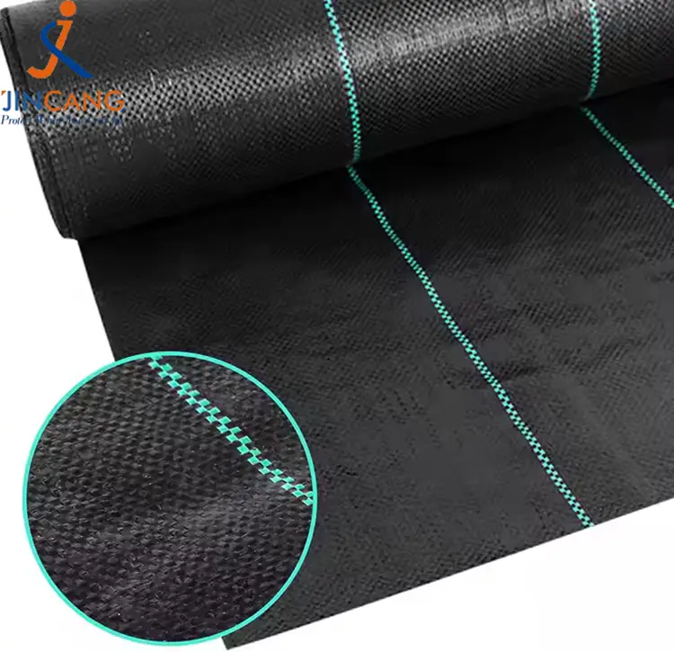 களை கட்டுப்பாட்டு துணி பாய்