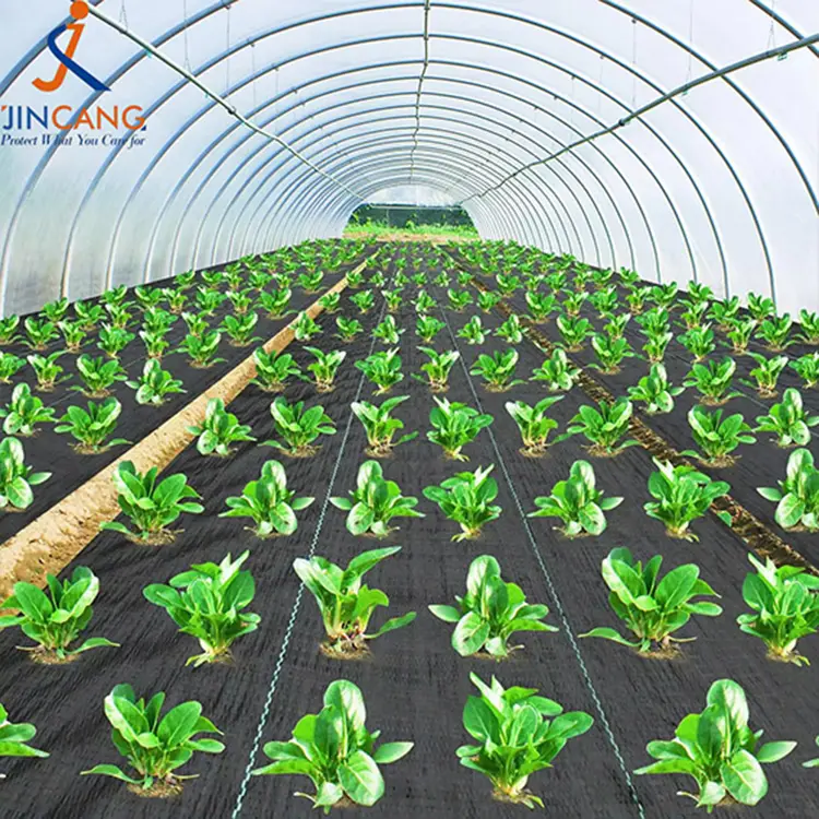 ஜியோடெக்ஸ்டைல் புல் தடை கருப்பு களை தடை துணி பாய்