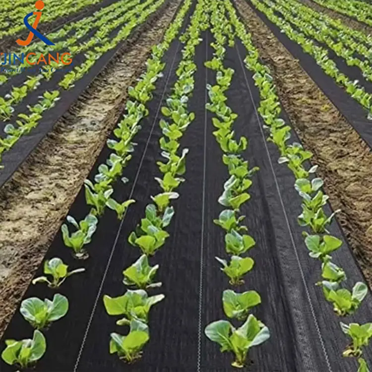 எதிர்ப்பு களை துணி பெ நெய்த தோட்டம் களை கட்டுப்பாட்டு பாய்